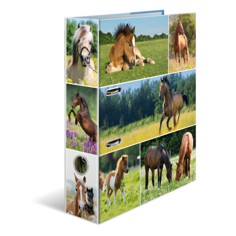 Ein Regal mit Bildern von verschiedenen Pferden in verschiedenen Posen und Umgebungen, darunter spielende, ruhende und laufende Tiere.