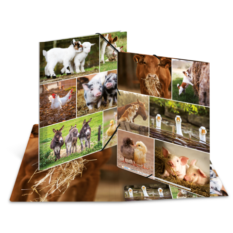 Ein aufgeschlagenes Fotobuch mit Bildern von verschiedenen Tieren, darunter Lämmer, Schweine, Kühe, Hühner und Enten in ländlicher Umgebung.