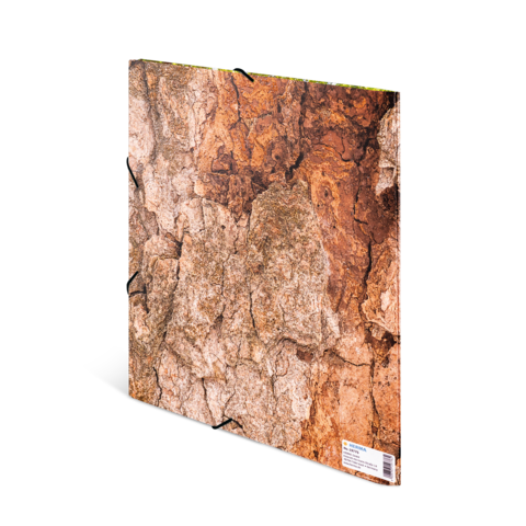 Rinde mit verschiedenen Brauntönen und strukturierten Oberflächen, die die natürliche Textur und Musterung zeigen.