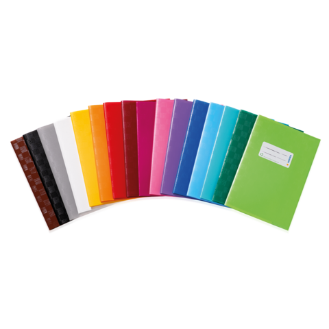 Bunte Ordner in verschiedenen Farben, angeordnet in einer Reihe, mit einem grünen Ordner, der ein Etikett aufweist.