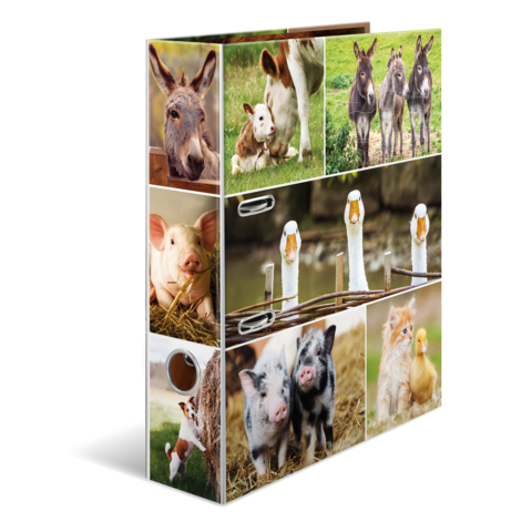 Ein Regal mit Bildern von verschiedenen Tieren, darunter Esel, Kühe, Schweine, Gänse und Enten, die in einer ländlichen Umgebung abgebildet sind.