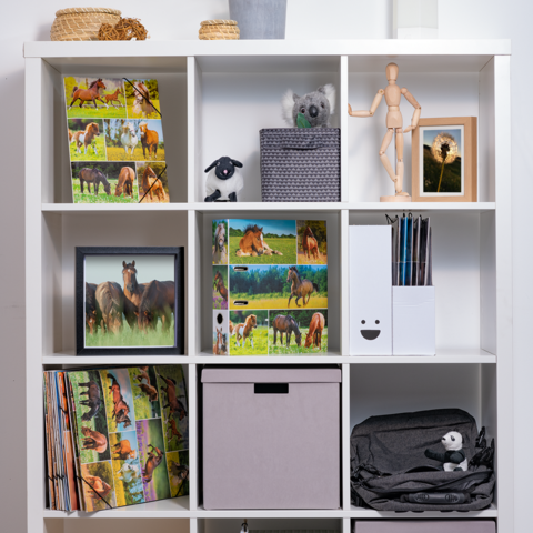 Regal mit verschiedenen Fächern, gefüllt mit Bildern von Pferden, Dekofiguren, einem Foto, Ordnern und Aufbewahrungsboxen.
