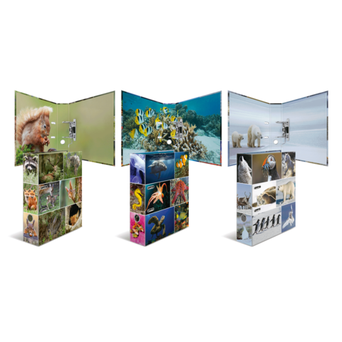 Drei aufklappbare Tafeln mit verschiedenen Tierbildern, darunter Säugetiere, Fische und Vögel, in einer ansprechenden Anordnung.