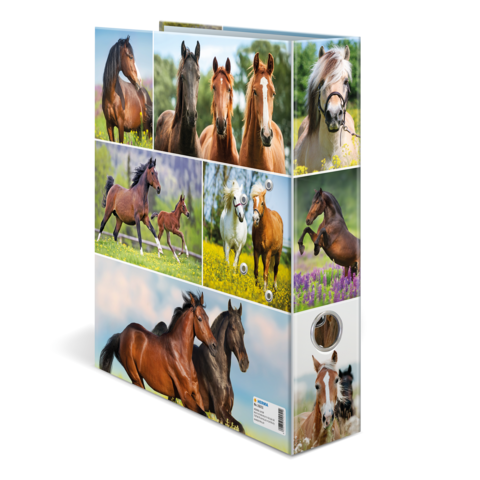 Ein Ordner mit verschiedenen Pferdebildern, die verschiedene Rassen und Aktivitäten zeigen, darunter galoppierende und spielende Pferde.