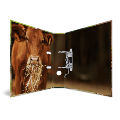 Ein Kalb mit Heu im Maul, das in einem offenen Buch dargestellt ist. Die Seiten zeigen eine ländliche Umgebung.