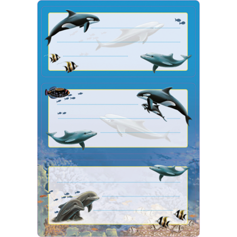 Drei Bereiche mit Illustrationen von Delfinen und Fischen, umgeben von Wasser und Korallen, mit Platz für Text.